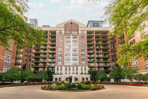 55 W Delaware Place 1011 Chicago IL 60610