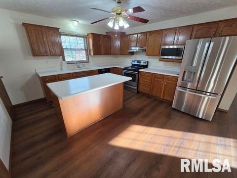 Tiny photo for 14013 N Tolle Lane, Mt Vernon, IL 62864 (MLS # EB460213)