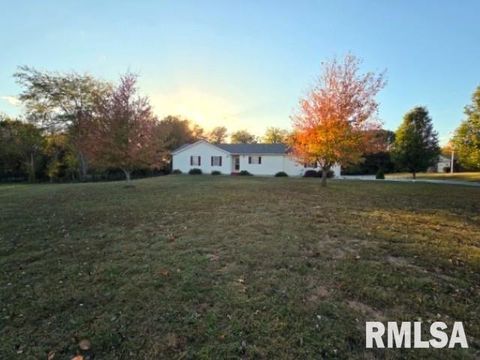 Tiny photo for 14013 N Tolle Lane, Mt Vernon, IL 62864 (MLS # EB460213)