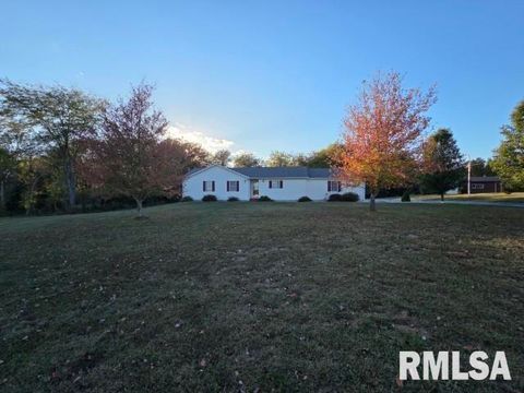 Tiny photo for 14013 N Tolle Lane, Mt Vernon, IL 62864 (MLS # EB460213)