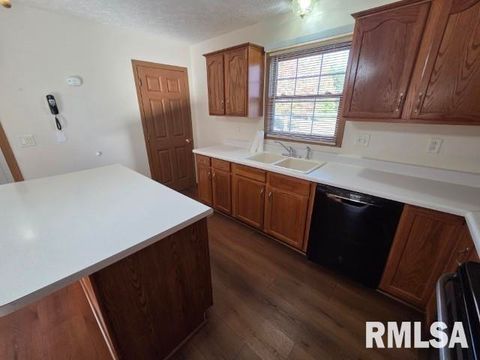 Tiny photo for 14013 N Tolle Lane, Mt Vernon, IL 62864 (MLS # EB460213)