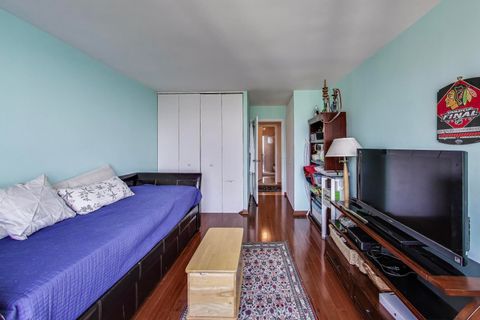 Tiny photo for 155 N Harbor Drive #4101-4102, Chicago, IL 60601 (MLS # 12463987)