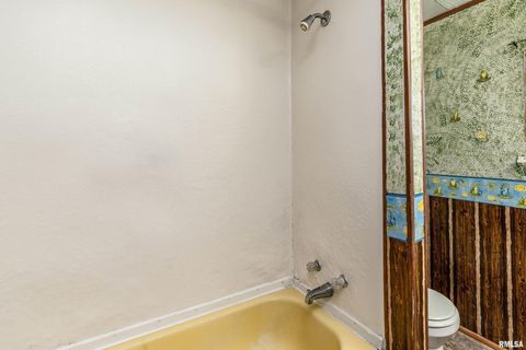 Tiny photo for 208 W PENNSYLVANIA Avenue, Pittsburg, IL 62974 (MLS # EB460344)