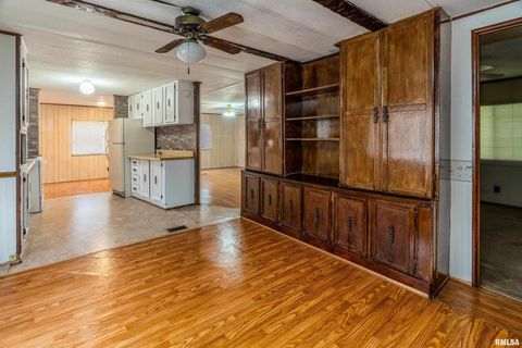 Tiny photo for 208 W PENNSYLVANIA Avenue, Pittsburg, IL 62974 (MLS # EB460344)