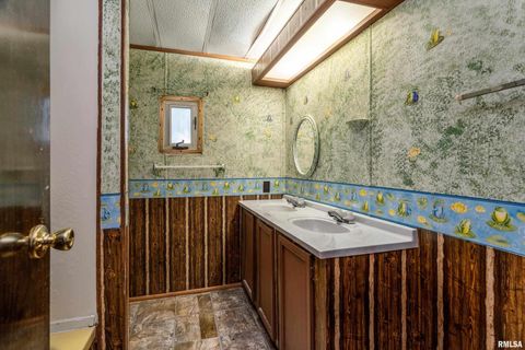 Tiny photo for 208 W PENNSYLVANIA Avenue, Pittsburg, IL 62974 (MLS # EB460344)