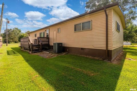 Tiny photo for 208 W PENNSYLVANIA Avenue, Pittsburg, IL 62974 (MLS # EB460344)