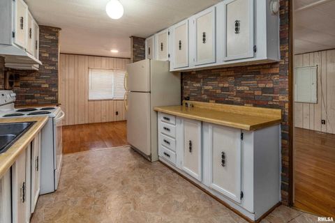 Tiny photo for 208 W PENNSYLVANIA Avenue, Pittsburg, IL 62974 (MLS # EB460344)