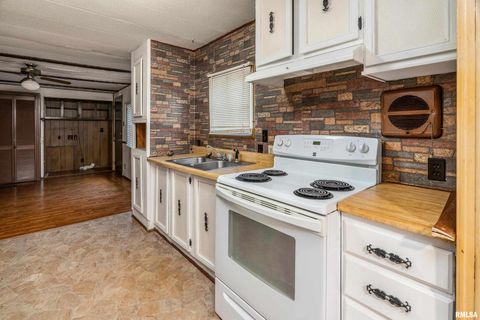 Tiny photo for 208 W PENNSYLVANIA Avenue, Pittsburg, IL 62974 (MLS # EB460344)