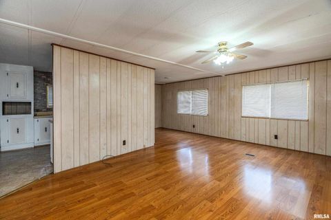 Tiny photo for 208 W PENNSYLVANIA Avenue, Pittsburg, IL 62974 (MLS # EB460344)