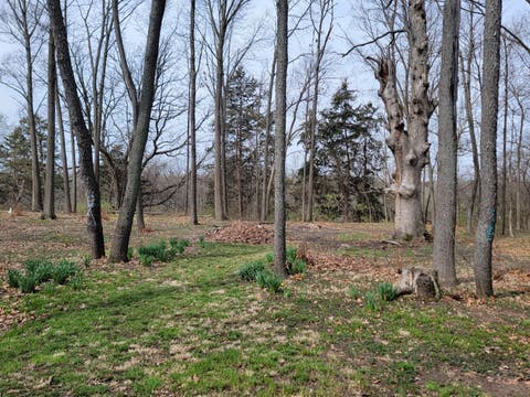 Tiny photo for 4615 E 2619th Road, Sandwich, IL 60548 (MLS # 12686067)