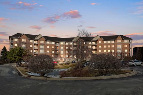 125 N Buffalo Grove Road 104 Buffalo Grove IL 60089