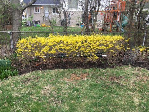 Tiny photo for 9433 Crawford Avenue, Evanston, IL 60203 (MLS # 12578297)