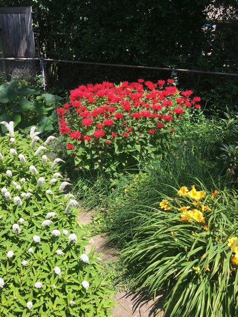 Tiny photo for 9433 Crawford Avenue, Evanston, IL 60203 (MLS # 12578297)