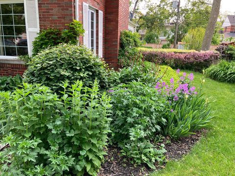 Tiny photo for 9433 Crawford Avenue, Evanston, IL 60203 (MLS # 12578297)