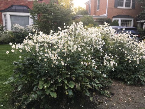 Tiny photo for 9433 Crawford Avenue, Evanston, IL 60203 (MLS # 12578297)