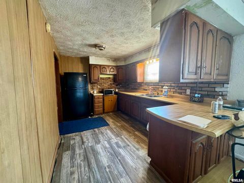 Tiny photo for 212 W Sylvia Avenue, Christopher, IL 62822 (MLS # QC4266473)