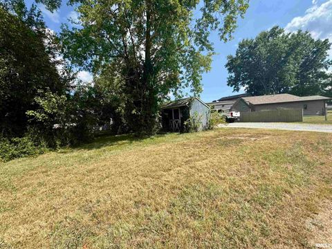 Tiny photo for 212 W Sylvia Avenue, Christopher, IL 62822 (MLS # QC4266473)