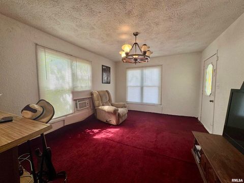 Tiny photo for 212 W Sylvia Avenue, Christopher, IL 62822 (MLS # QC4266473)