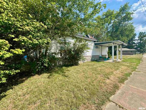 Tiny photo for 212 W Sylvia Avenue, Christopher, IL 62822 (MLS # QC4266473)