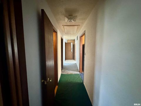 Tiny photo for 212 W Sylvia Avenue, Christopher, IL 62822 (MLS # QC4266473)