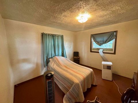 Tiny photo for 212 W Sylvia Avenue, Christopher, IL 62822 (MLS # QC4266473)