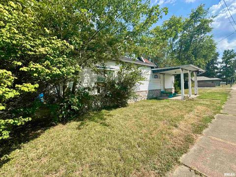 Tiny photo for 212 W Sylvia Avenue, Christopher, IL 62822 (MLS # QC4266473)