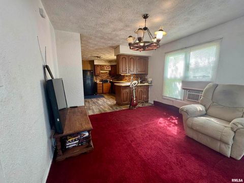 Tiny photo for 212 W Sylvia Avenue, Christopher, IL 62822 (MLS # QC4266473)