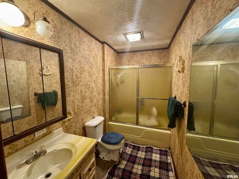 Tiny photo for 212 W Sylvia Avenue, Christopher, IL 62822 (MLS # QC4266473)