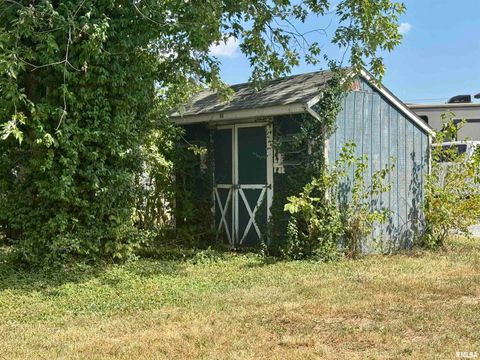 Tiny photo for 212 W Sylvia Avenue, Christopher, IL 62822 (MLS # QC4266473)