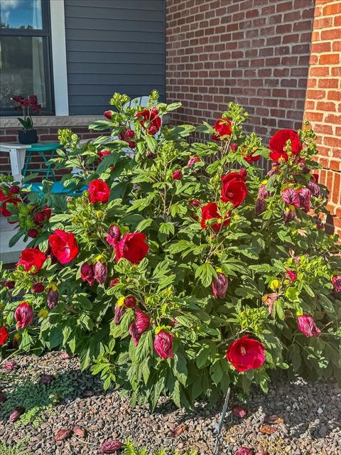 Tiny photo for 500 Raef Road, Downs, IL 61736 (MLS # 12564612)