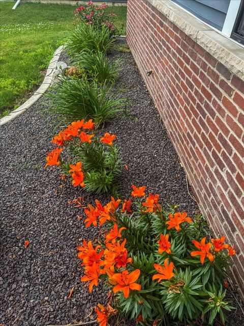 Tiny photo for 500 Raef Road, Downs, IL 61736 (MLS # 12564612)