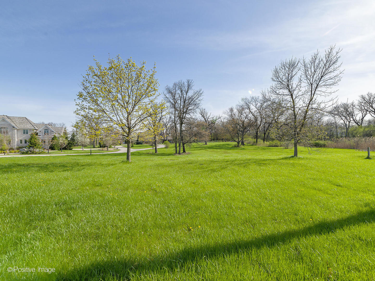 215 Oak Brook Road