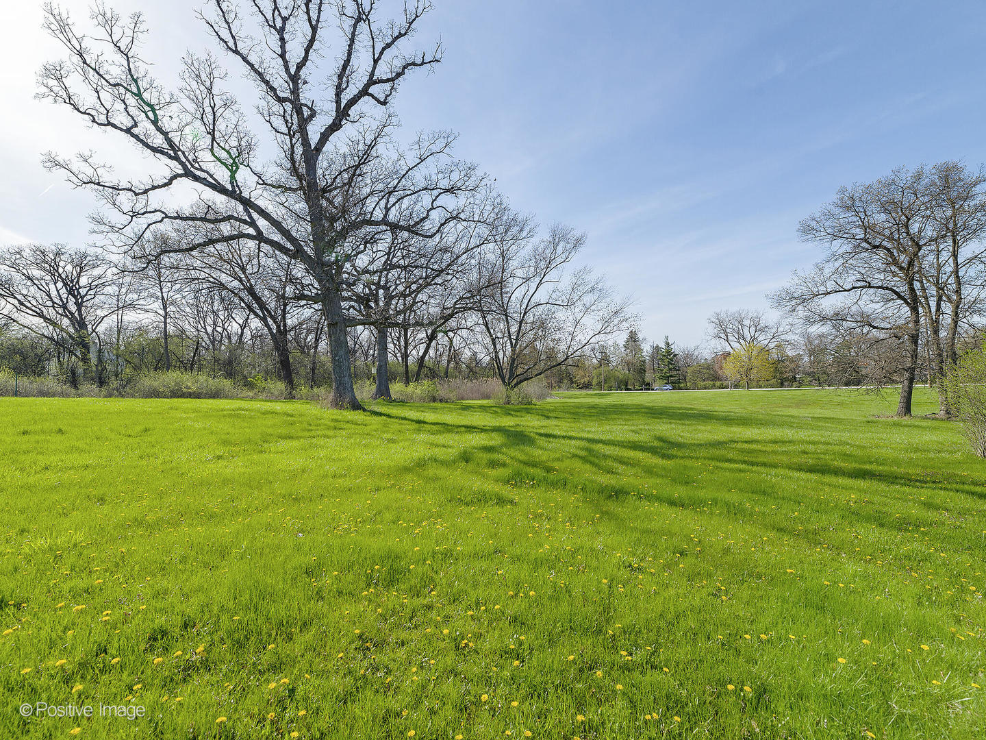215 Oak Brook Road