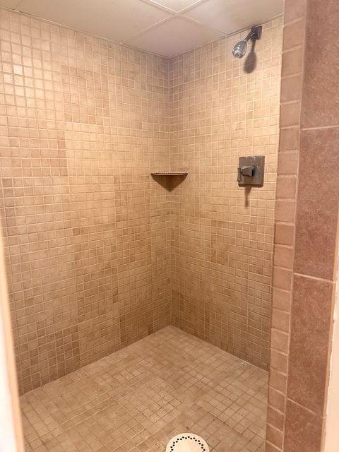 Tiny photo for 205 E Silverspoon Avenue, Granville, IL 61326 (MLS # 12587486)