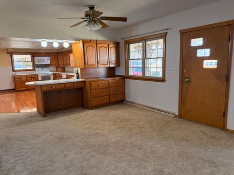 Tiny photo for 205 E Silverspoon Avenue, Granville, IL 61326 (MLS # 12587486)