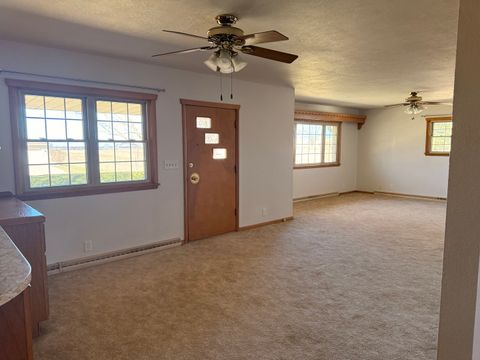 Tiny photo for 205 E Silverspoon Avenue, Granville, IL 61326 (MLS # 12587486)