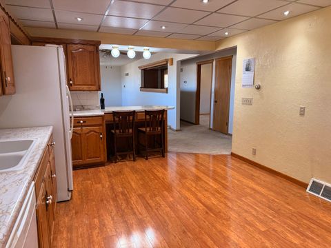 Tiny photo for 205 E Silverspoon Avenue, Granville, IL 61326 (MLS # 12587486)