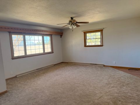 Tiny photo for 205 E Silverspoon Avenue, Granville, IL 61326 (MLS # 12587486)