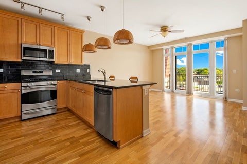 Tiny photo for 120 N Northwest Highway N #307, Park Ridge, IL 60068 (MLS # 12682147)