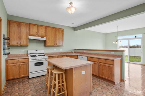 Tiny photo for 443 Grape Vine Trail, Oswego, IL 60543 (MLS # 12615386)