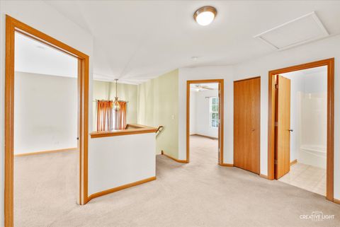 Tiny photo for 443 Grape Vine Trail, Oswego, IL 60543 (MLS # 12615386)