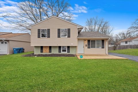 A home in Sauk Village