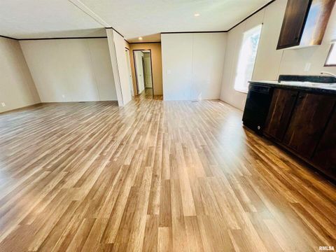 Tiny photo for 1101 E OAK Street, West Frankfort, IL 62896 (MLS # QC4267915)