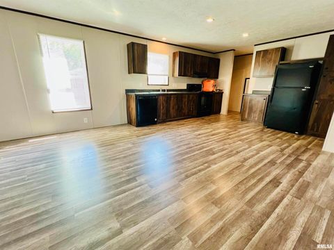 Tiny photo for 1101 E OAK Street, West Frankfort, IL 62896 (MLS # QC4267915)