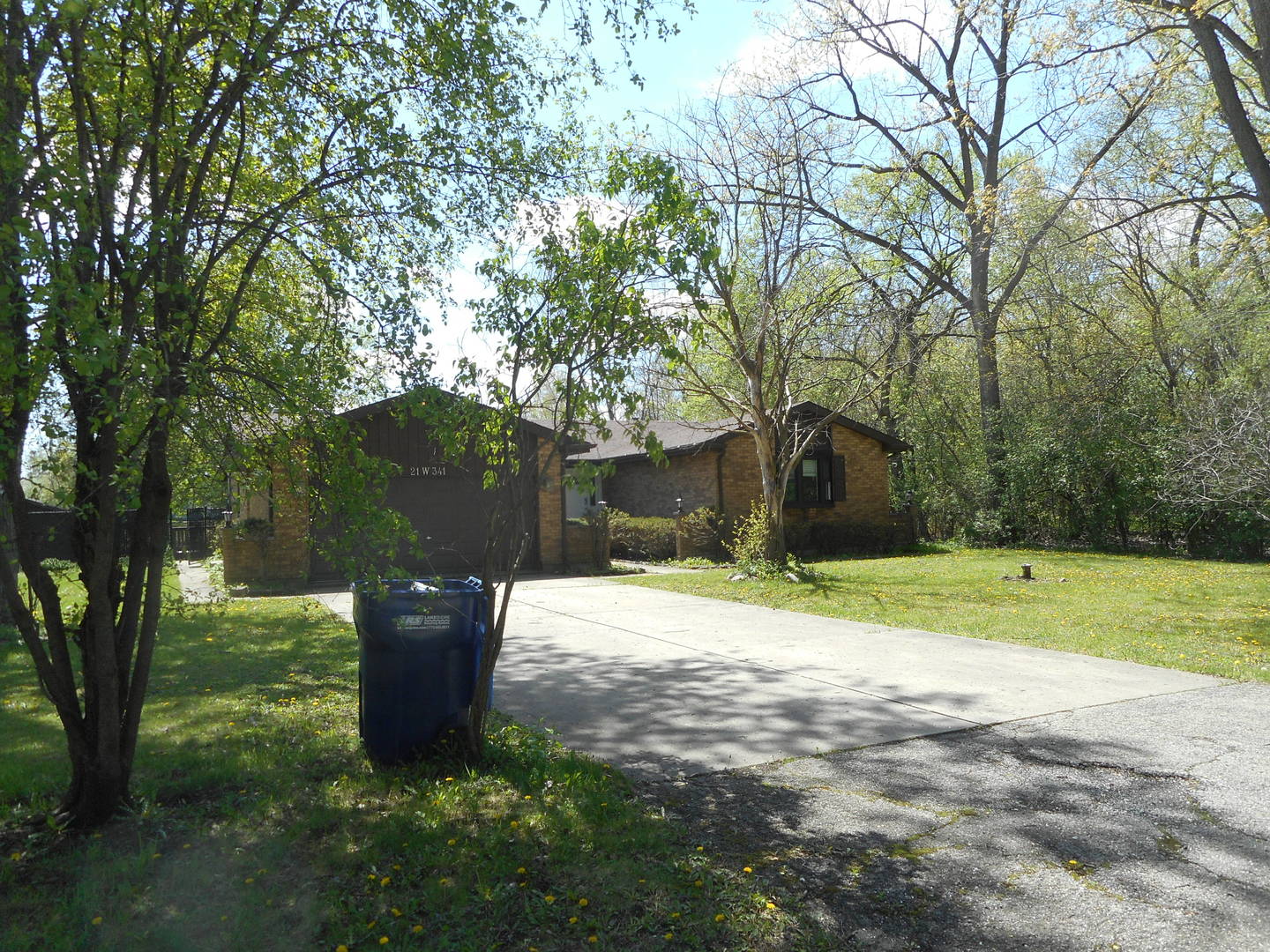 21 Belden Avenue