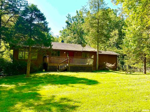 Photo of 592 Brush Hill Road, Carbondale, IL 62901 (MLS # EB460580)