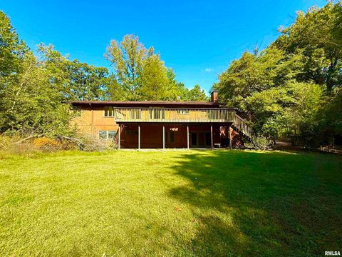 Tiny photo for 592 Brush Hill Road, Carbondale, IL 62901 (MLS # EB460580)