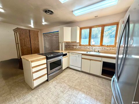 Tiny photo for 592 Brush Hill Road, Carbondale, IL 62901 (MLS # EB460580)