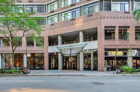 211 E Ohio Street 1003 Chicago IL 60611