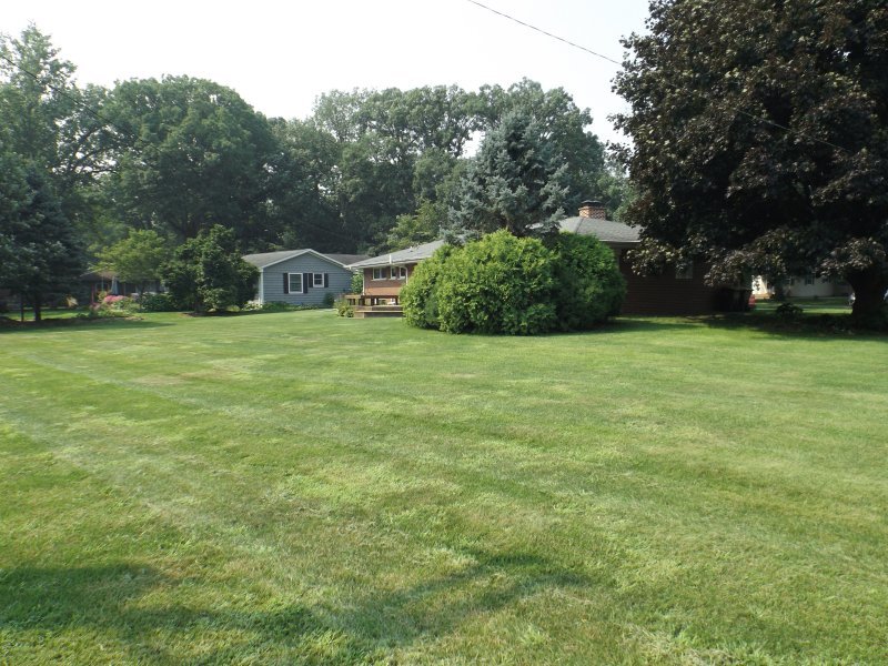 340 Tree Lane